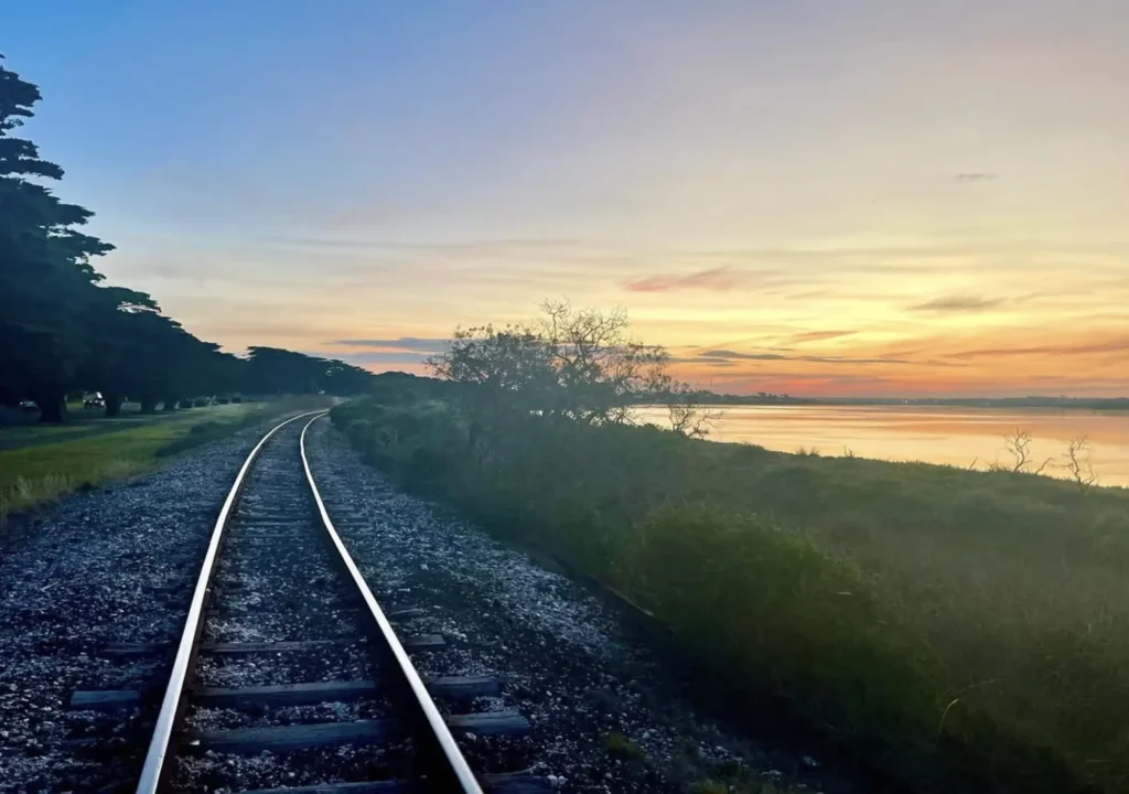 Bellarine Rail Trail