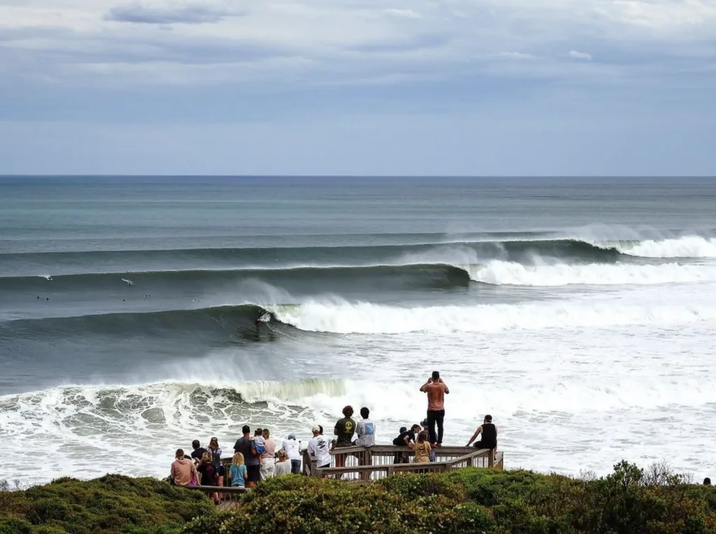 Bells Beach surfing