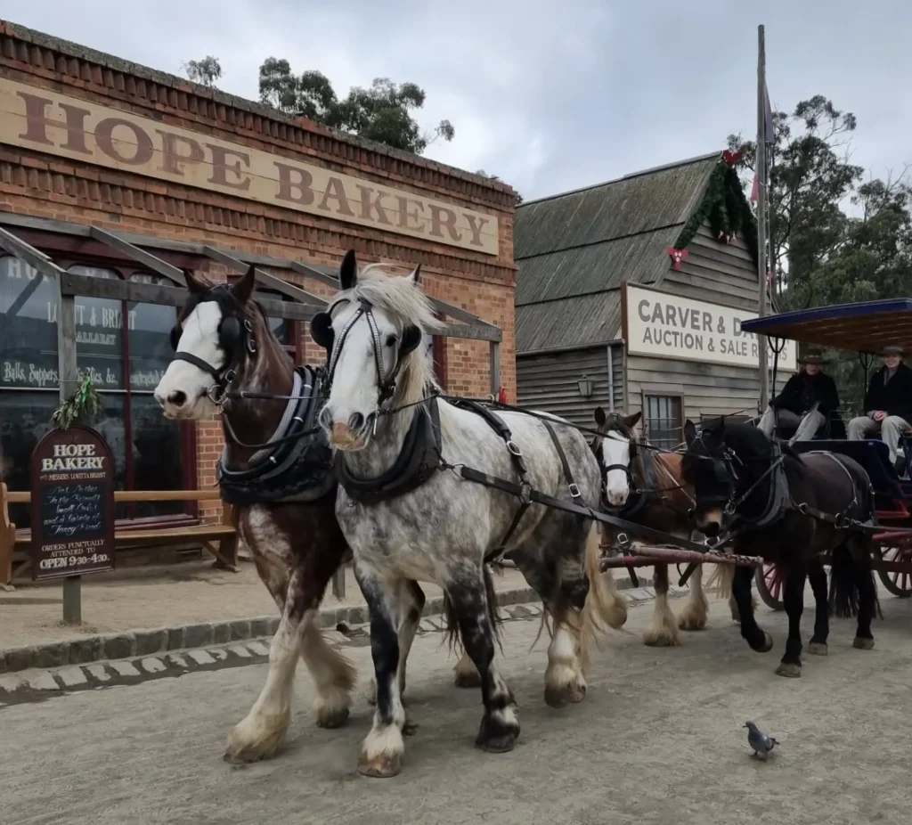 Sovereign Hill