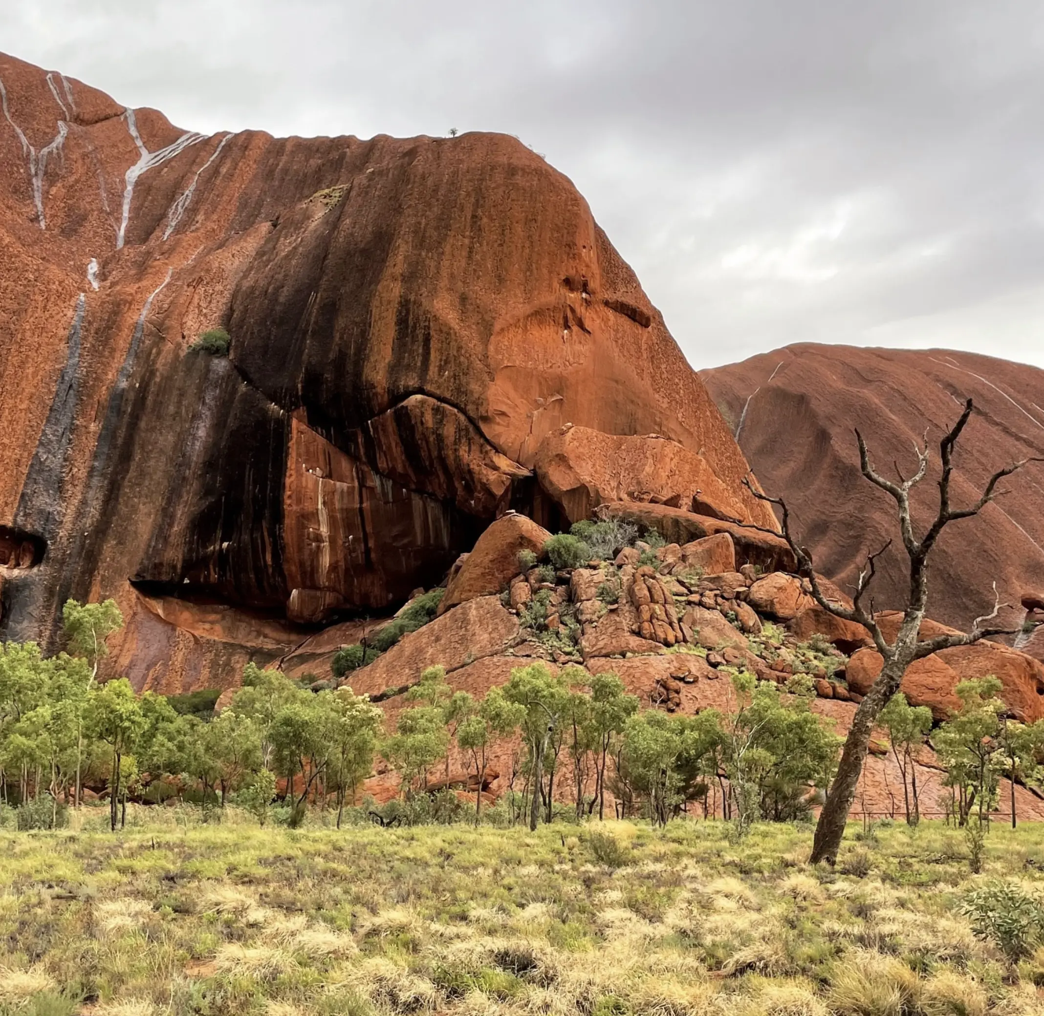 Top 10 Cultural Experiences to Have Around Uluru