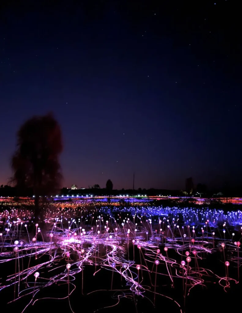 Uluru Field of Light Art Installation