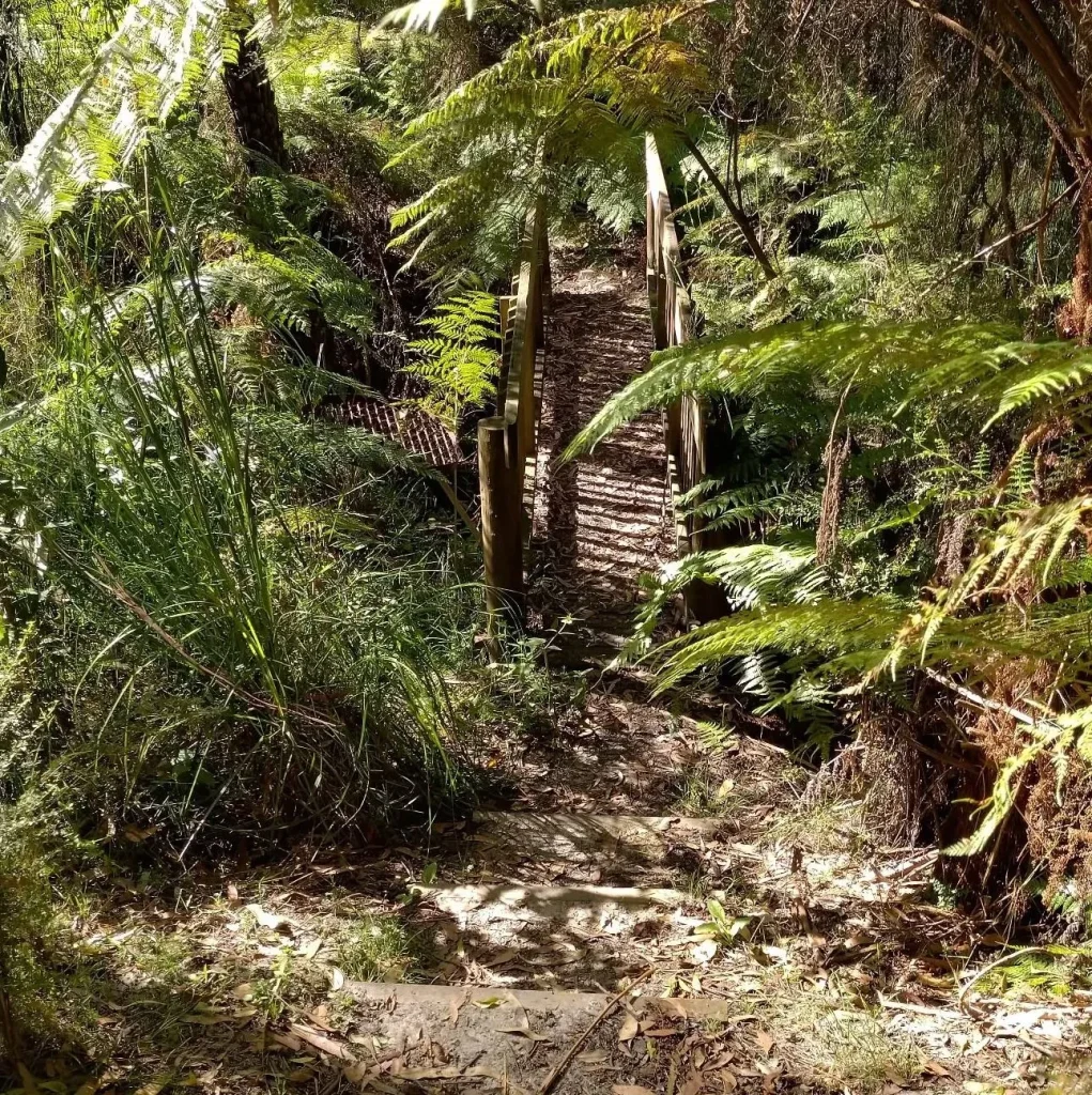 Bushland Walk