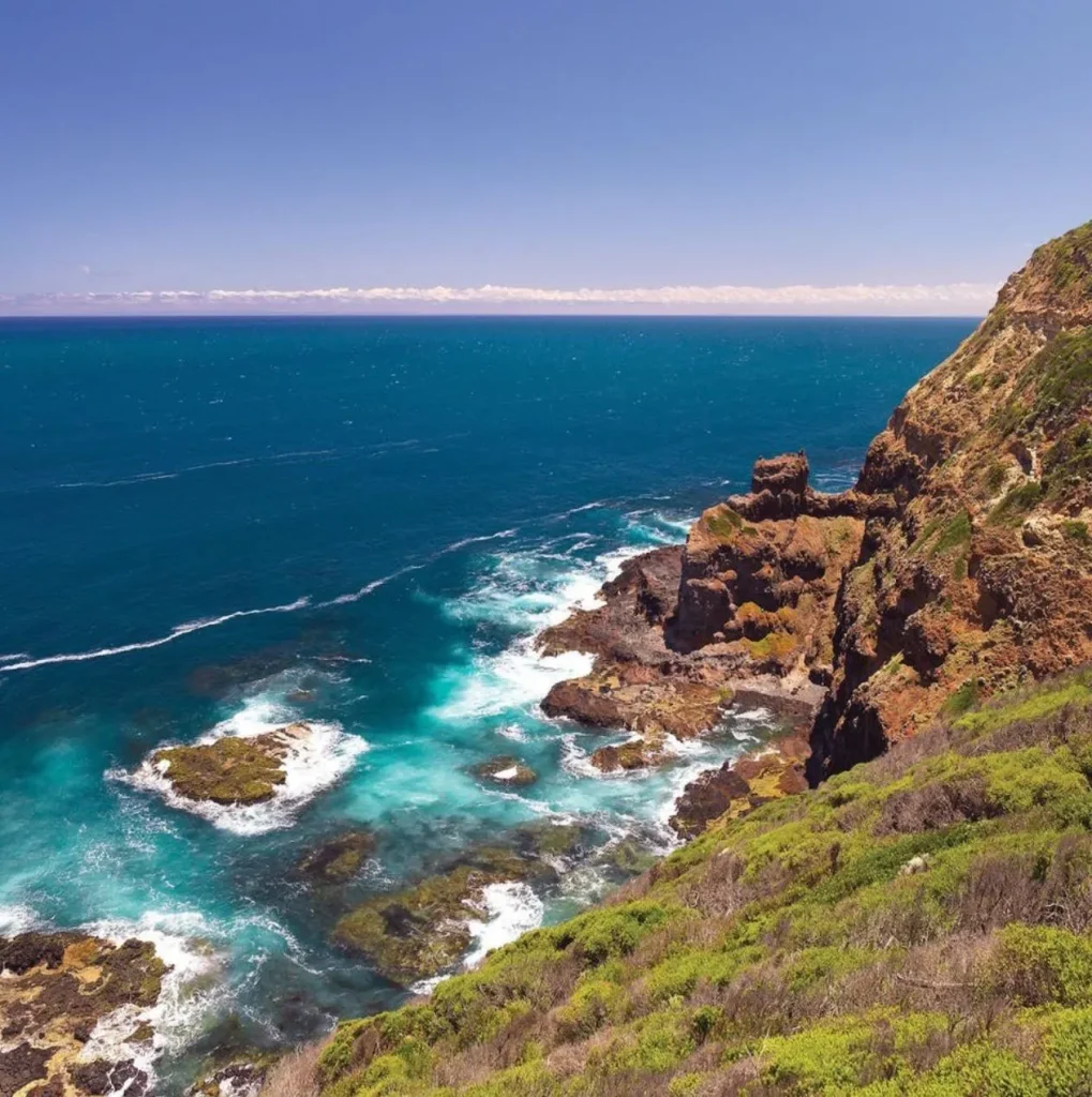 Bushrangers Bay Walking Track