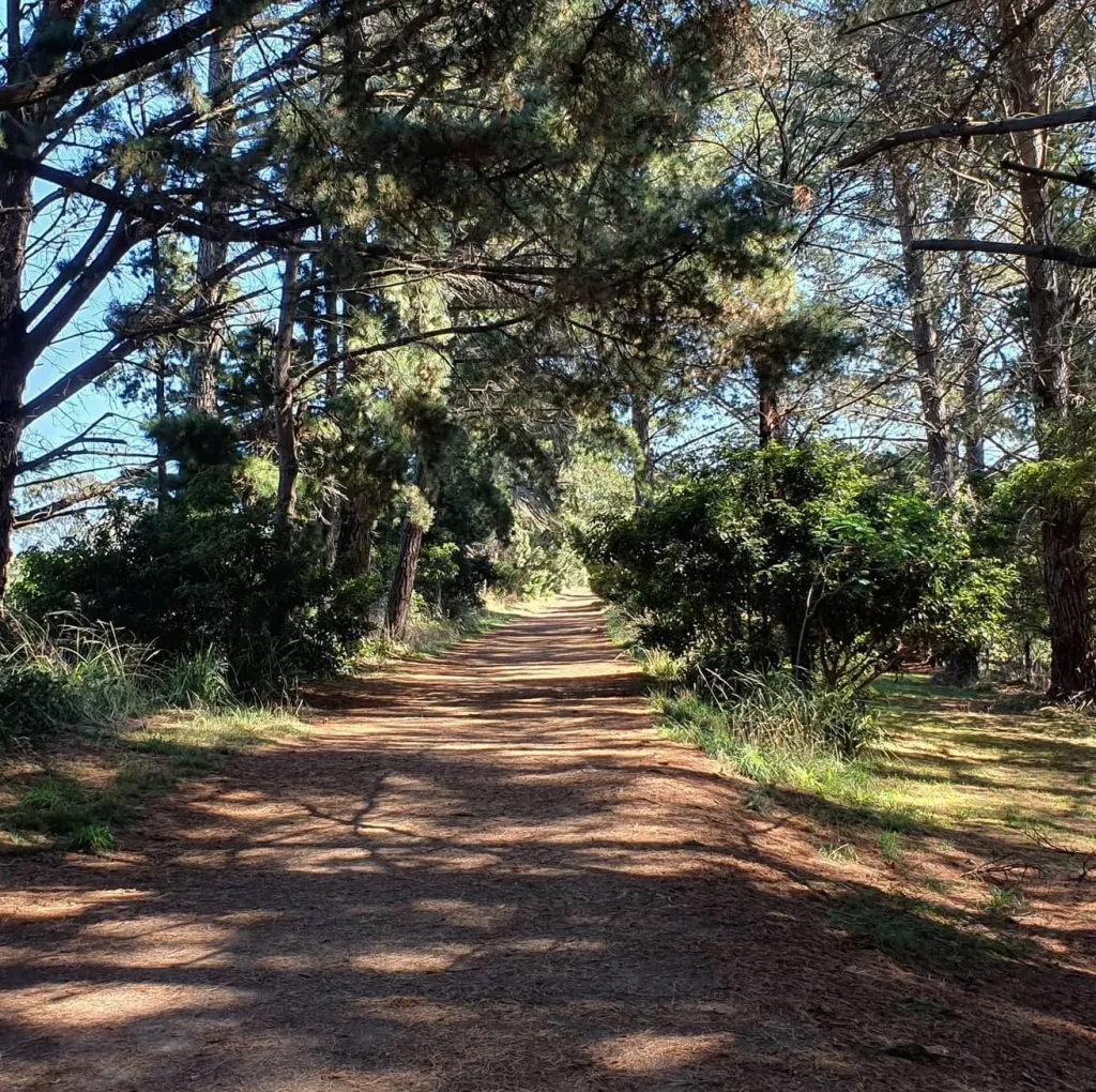 Red Hill Rail Trail