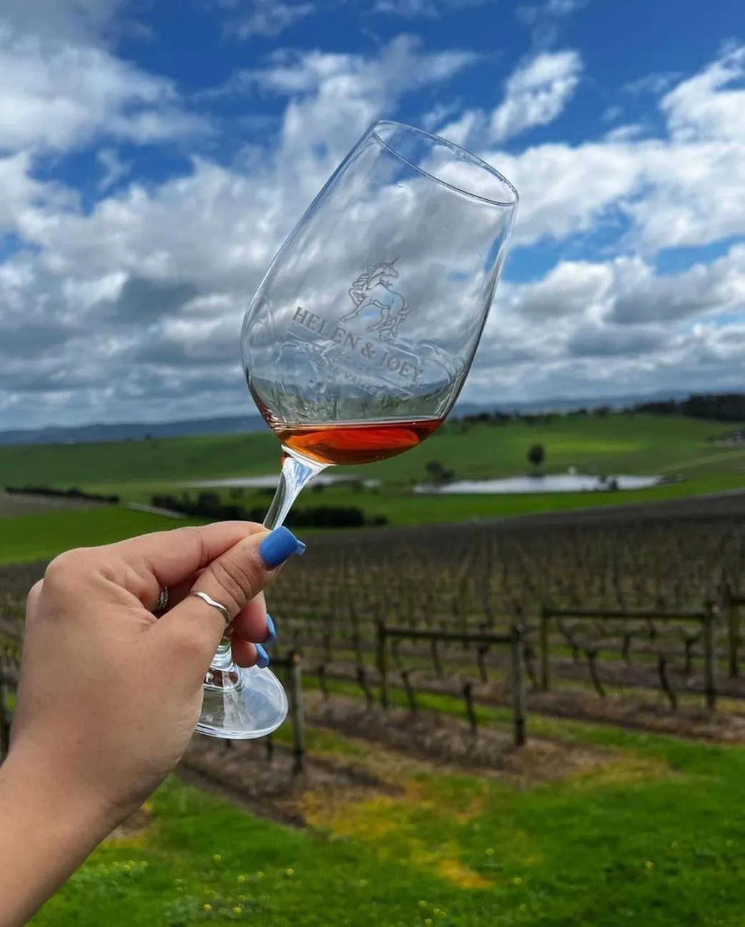 Yarra Valley wine tour