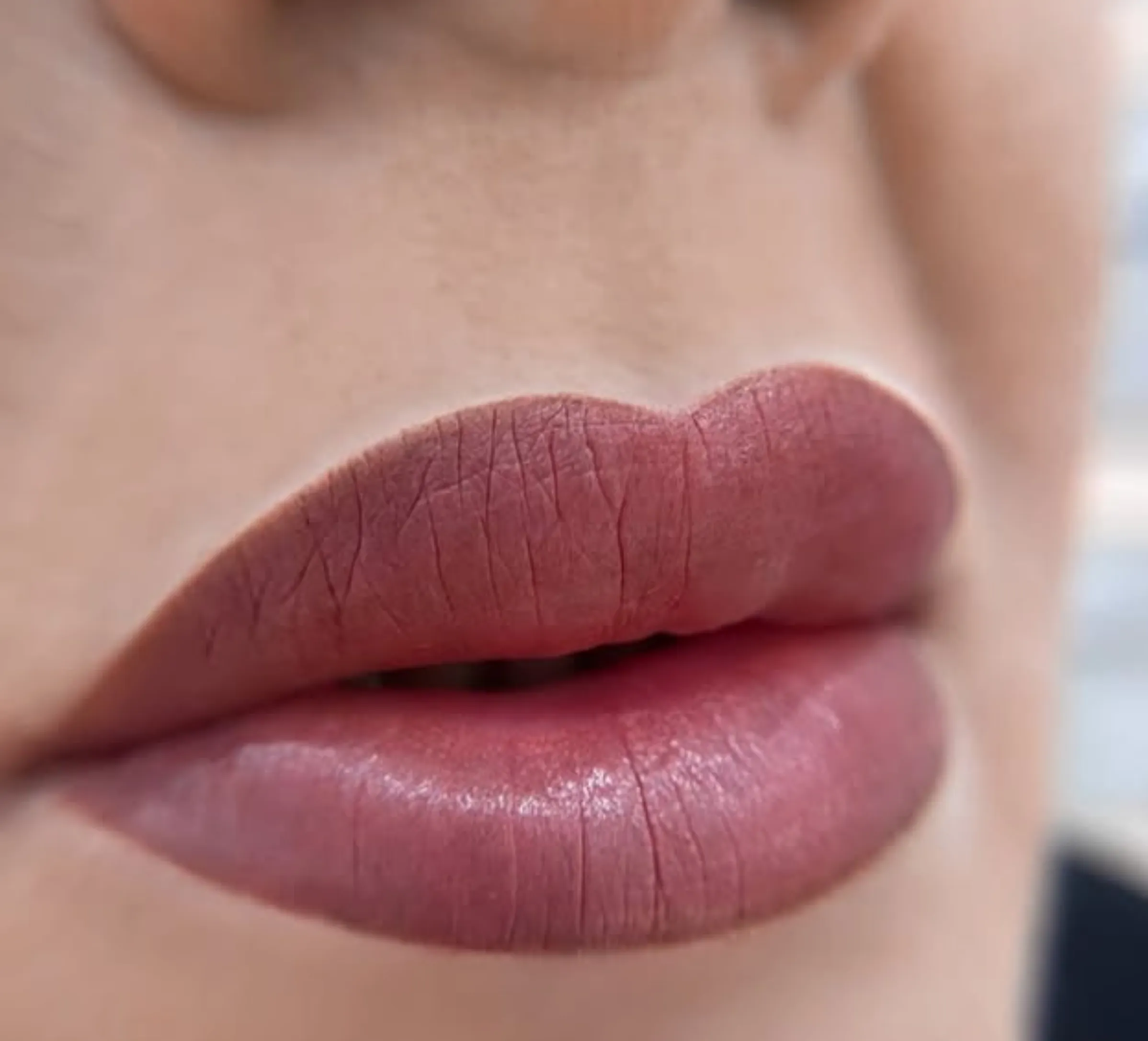 lip tattoo session timeline