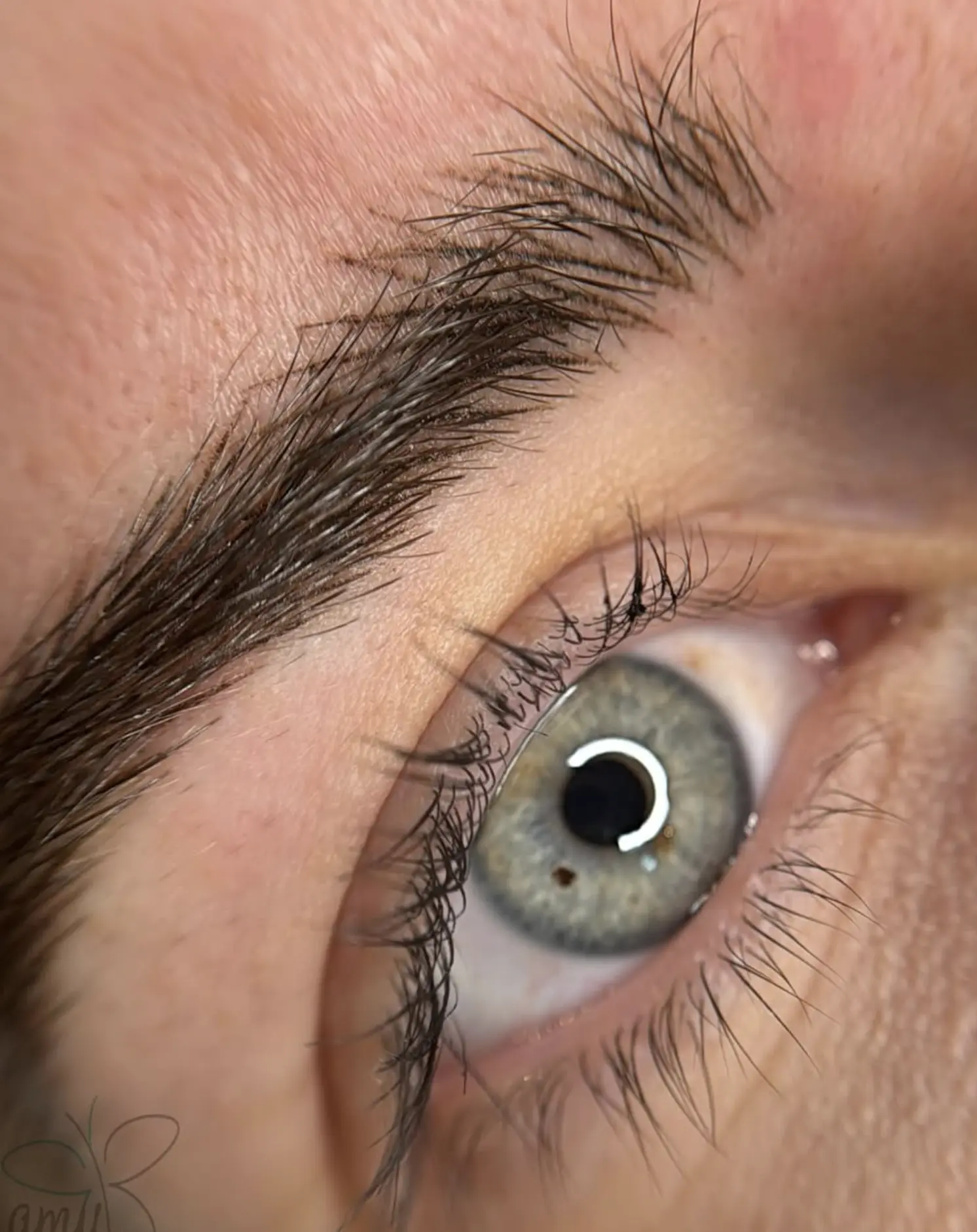 week two of brow healing process